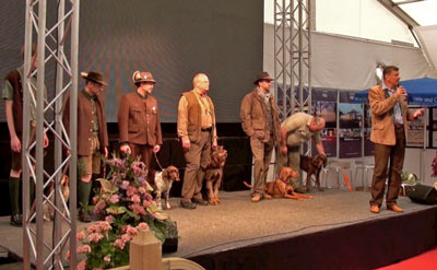 Jagdhund Vorführung